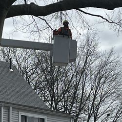Joe Howard Tree Service