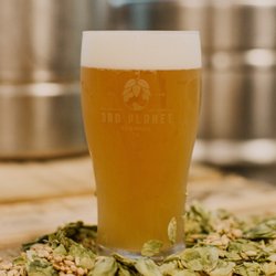 3rd Planet Brewing