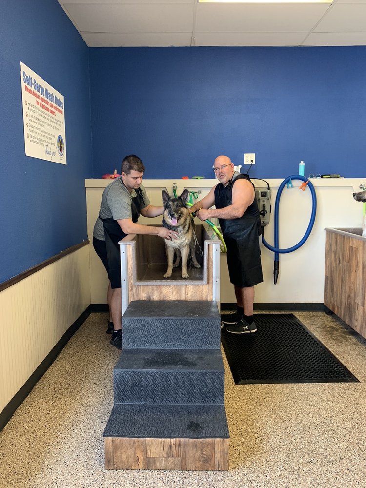 HAPPY K9 34 Photos & 74 Reviews 6501 Camp Bowie Blvd, Fort Worth