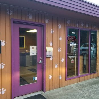 Calvin's Place - Great location by 56 an orchard - Pet Sitting Near Me - Tacoma, Washington Calvin's Place - Great location by 56 an orchard - Pet Sitting Near Me - Tacoma, Washington