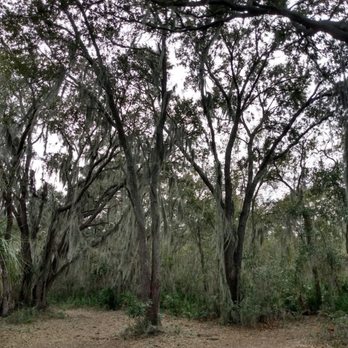 Alafia Scrub Nature Preserve - Hiking Near Me - Riverview, Florida Alafia Scrub Nature Preserve - Hiking Near Me - Riverview, Florida