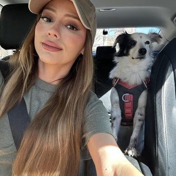 Oceanside Veterinary Hospital - Maddy ready for her appointment - Veterinarians Near Me - Oceanside, California Oceanside Veterinary Hospital - Maddy ready for her appointment - Veterinarians Near Me - Oceanside, California