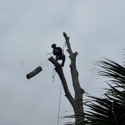Swift Oaks - Safety always comes first when I show up!