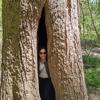 The Queens Giant - Landmarks & Historical Buildings Near Me - Douglaston, New York