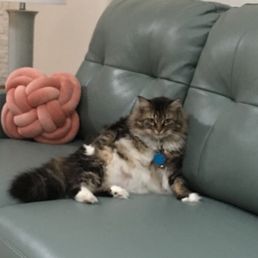 Kismet enjoying life!