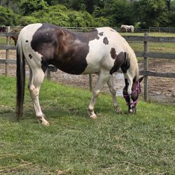Gabe at his beautiful new home