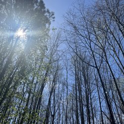 Cauley Creek Park