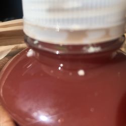 Sealed bottle of Juice purchased yesterday with mold on top...