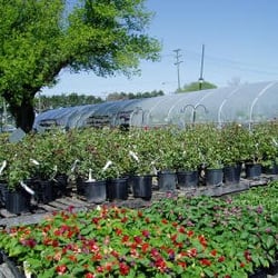 Hydro Harry's Hydroponics - From their website