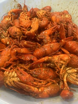 My Brother's Crawfish by null