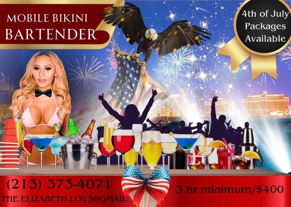 Mobile Bikini Bartender Babe