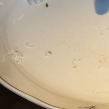 Locanda Verde - live bug in the plate - Italian Near Me - New York, New York Locanda Verde - live bug in the plate - Italian Near Me - New York, New York