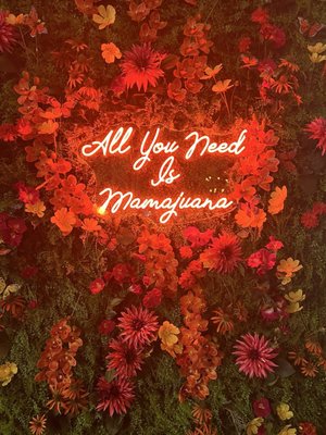 Mamajuana Cafe prime by null