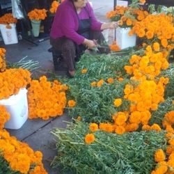 Magdalena Flower Shop