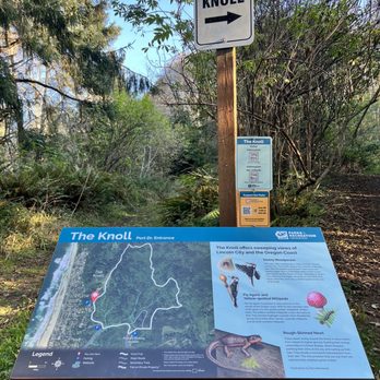 The Knoll - The Knoll - map and parking - Hiking Near Me - Lincoln City, Oregon The Knoll - The Knoll - map and parking - Hiking Near Me - Lincoln City, Oregon