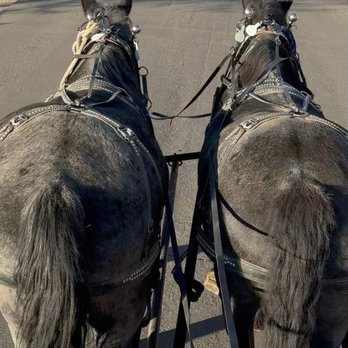 Rocky Mountain Outfitters - Rocky Mountain Outfitters in Midway | Rees's Roots - Horseback Riding Near Me - Midway, Utah Rocky Mountain Outfitters - Rocky Mountain Outfitters in Midway | Rees's Roots - Horseback Riding Near Me - Midway, Utah