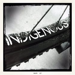 Indigenous Wheel - Custom tubeless MTB