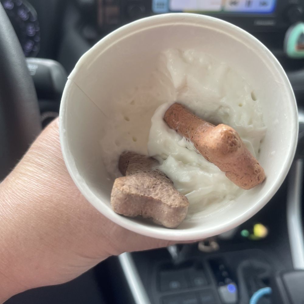 7 Brew Coffee - An ultra deluxe pup cup. - Coffee & Tea Near Me - Lexington, Kentucky 7 Brew Coffee - An ultra deluxe pup cup. - Coffee & Tea Near Me - Lexington, Kentucky