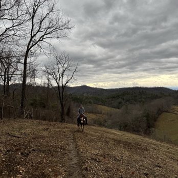 Smoky Mountain Trail Rides - Horseback Riding Near Me - Marshall, North Carolina
