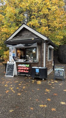 Multnomah Falls by null Multnomah Falls by null