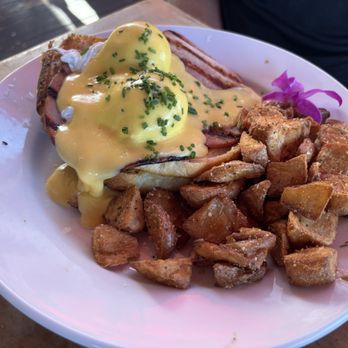 Island Lava Java - ISLAND EGGS BENEDICT - American Near Me - Kailua Kona, Hawaii Island Lava Java - ISLAND EGGS BENEDICT - American Near Me - Kailua Kona, Hawaii
