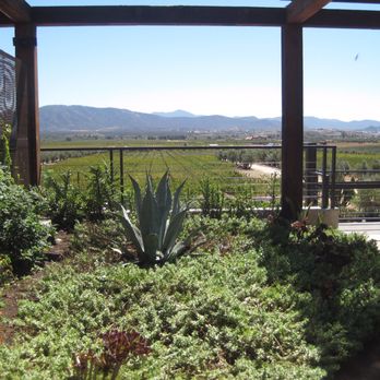 Baja Winery Tours - Wine Tours Near Me - San Diego, California