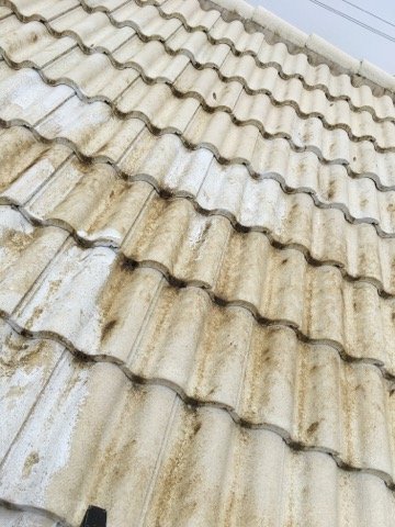 Slide of Treasure Coast Roof Cleaning Specialist