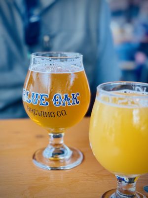 Blue Oak Brewing Company by null