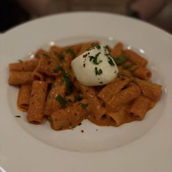 Branzinos Bar and Restaurant - Spicy Rigatoni (no where near spicy)