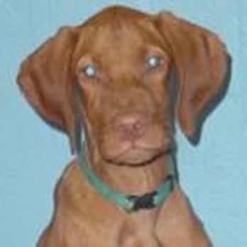 Animal Playground - Pet Groomers Near Me - Davenport, Iowa Animal Playground - Pet Groomers Near Me - Davenport, Iowa