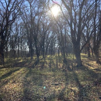 Cosumnes River Preserve - Parks Near Me - Galt, California