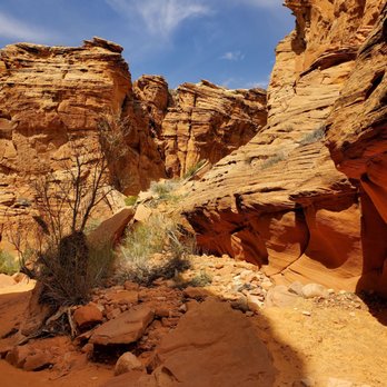 Taadidiin Tours - Walking Tours Near Me - Page, Arizona Taadidiin Tours - Walking Tours Near Me - Page, Arizona