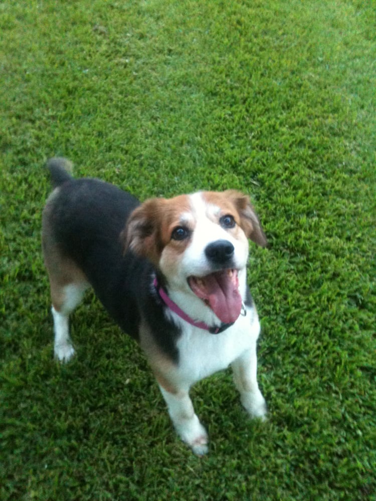 CAMP BOWIE ANIMAL CLINIC Updated September 2024 14 Reviews 5709