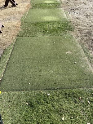 Forest Creek Golf Club by null