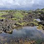 Photo of Waikoloa Anchialine Ponds