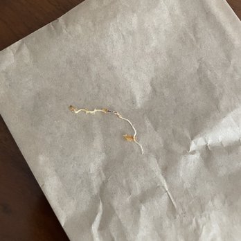 Le Moulin a Cafe - 3" string from inside my food - French Near Me - New York, New York Le Moulin a Cafe - 3" string from inside my food - French Near Me - New York, New York