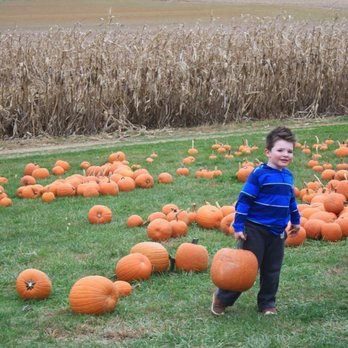 Mast Farms Corn Maze - Great selection of prepicked pumpkins to choose from - Farmers Market Near Me - Morgantown, Pennsylvania Mast Farms Corn Maze - Great selection of prepicked pumpkins to choose from - Farmers Market Near Me - Morgantown, Pennsylvania