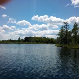 a view of a lake and trees a view of a lake and trees