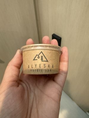 Alyeska Nordic Spa by null