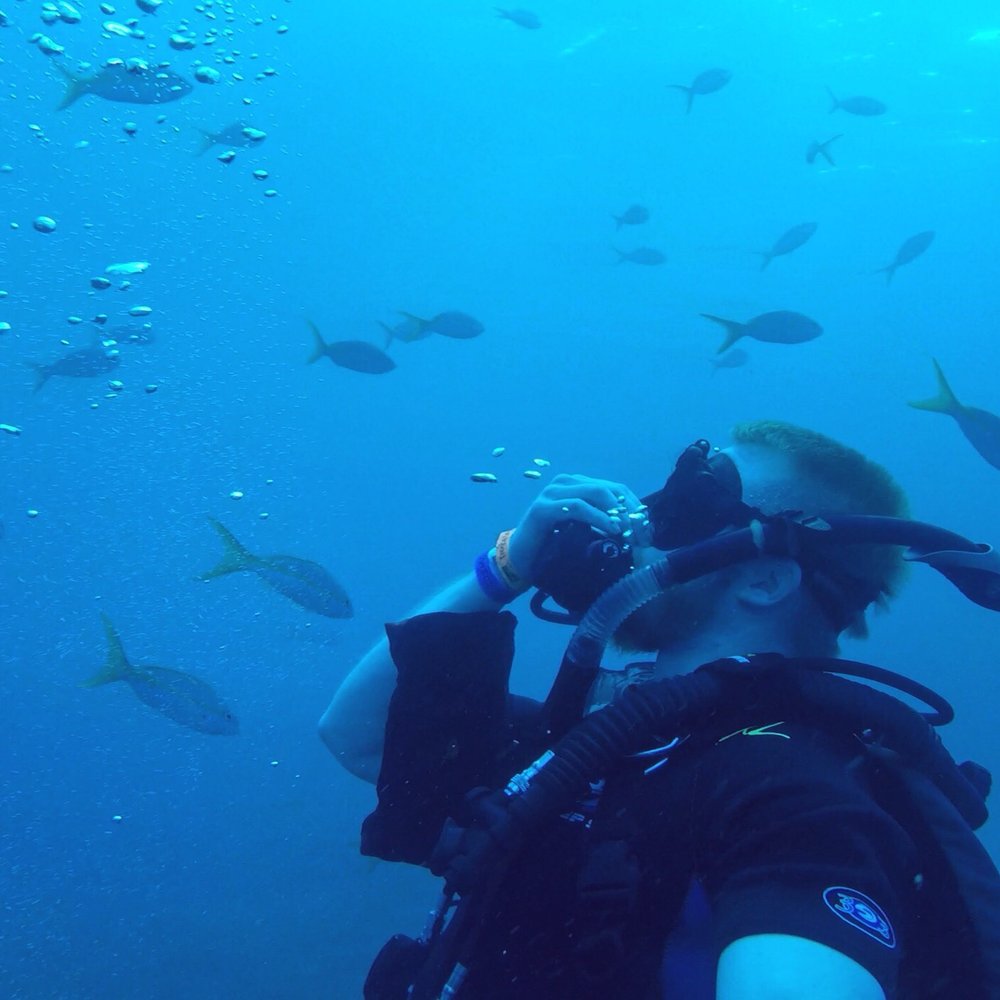 Rainbow Reef Dive Center - Scuba Diving Near Me - Key Largo, Florida Rainbow Reef Dive Center - Scuba Diving Near Me - Key Largo, Florida