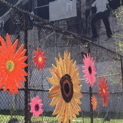 East Harlem - 05/01/18