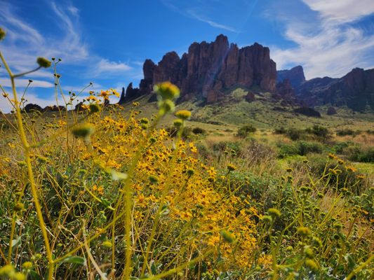 Lost Dutchman State Park by null