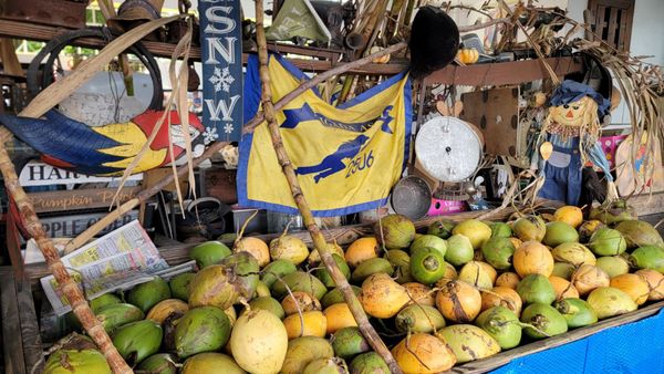 Los Pinarenos, Fruteria by null