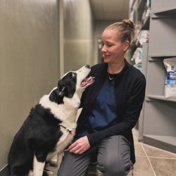Kato Animal Hospital - Kato Animal Hospital