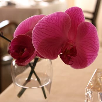 Michael Mina - Orchid centerpiece for table - New American Near Me - Las Vegas, Nevada Michael Mina - Orchid centerpiece for table - New American Near Me - Las Vegas, Nevada