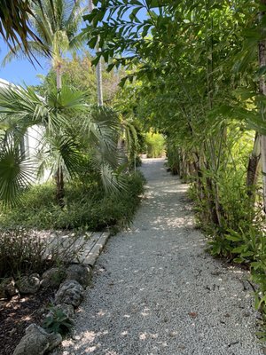 Coconut Palm Inn by null