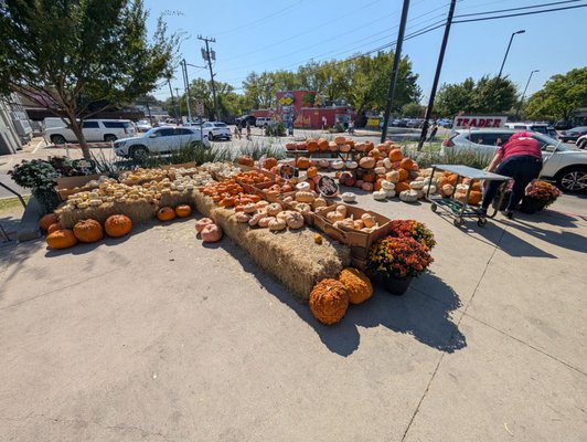 Trader Joe's by null