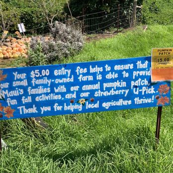 Kula Country Farms - Farmers Market Near Me - Kula, Hawaii Kula Country Farms - Farmers Market Near Me - Kula, Hawaii
