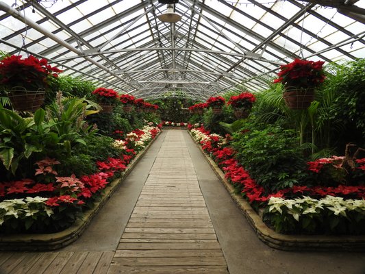 Rockefeller Park & Greenhouse by null