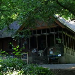Queen's Wood Café - Café in the Woods